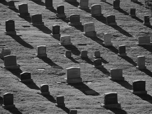 10686757_10152779749295139_6969336201913069883_n_2