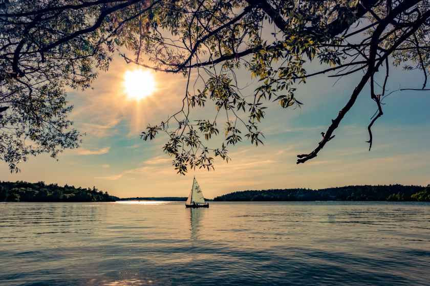 white and black selling boat on bed of water during daytime